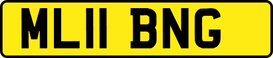 ML11BNG