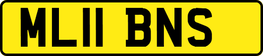 ML11BNS
