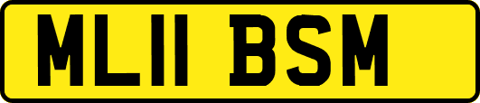 ML11BSM