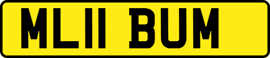 ML11BUM