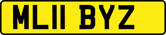 ML11BYZ