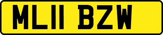 ML11BZW