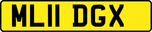 ML11DGX