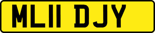 ML11DJY