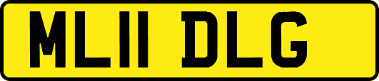 ML11DLG