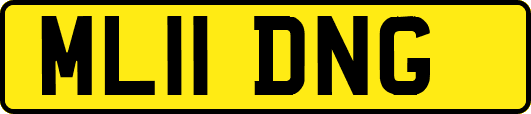 ML11DNG