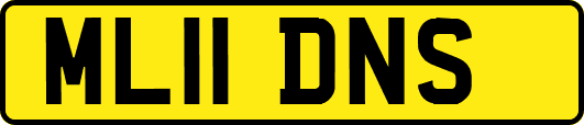 ML11DNS