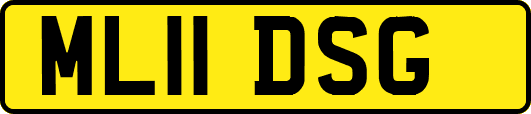 ML11DSG
