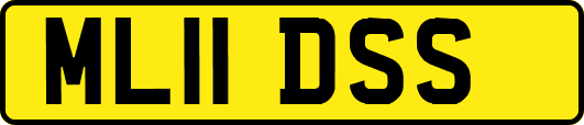 ML11DSS