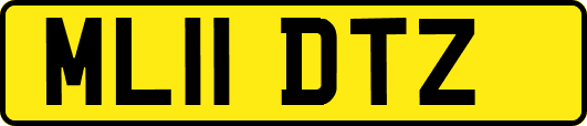 ML11DTZ