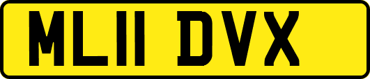 ML11DVX