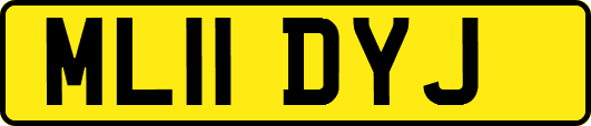 ML11DYJ