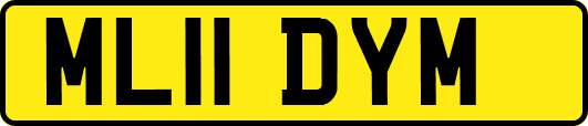 ML11DYM
