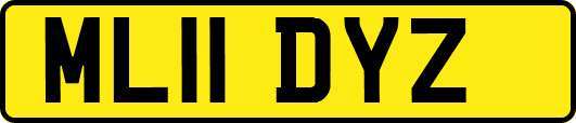 ML11DYZ