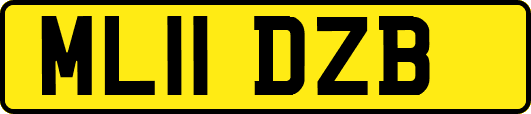 ML11DZB