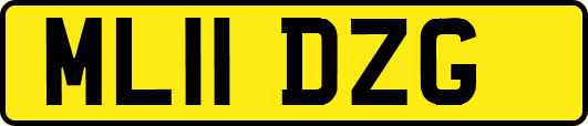 ML11DZG