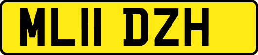 ML11DZH