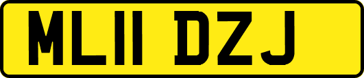 ML11DZJ