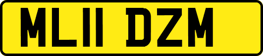 ML11DZM