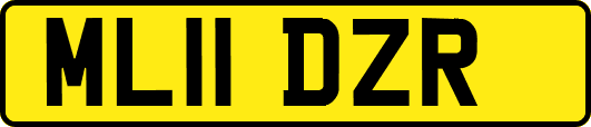 ML11DZR