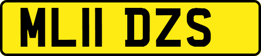 ML11DZS