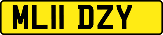 ML11DZY