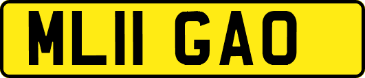 ML11GAO