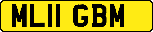 ML11GBM