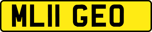 ML11GEO