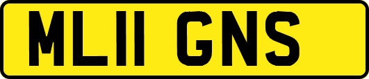 ML11GNS