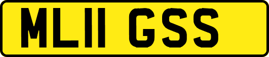 ML11GSS
