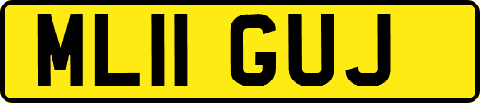 ML11GUJ