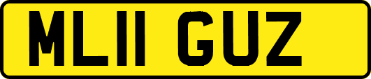 ML11GUZ