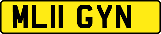 ML11GYN