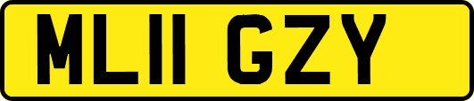 ML11GZY