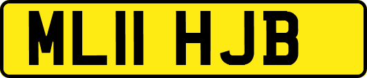 ML11HJB