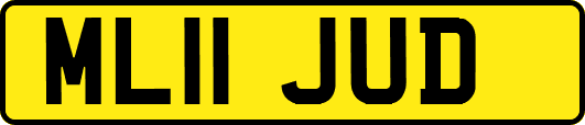 ML11JUD