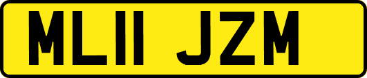 ML11JZM