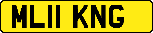 ML11KNG
