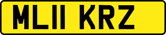 ML11KRZ