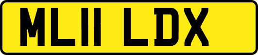 ML11LDX