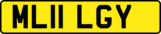 ML11LGY