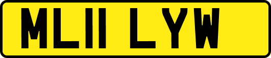 ML11LYW