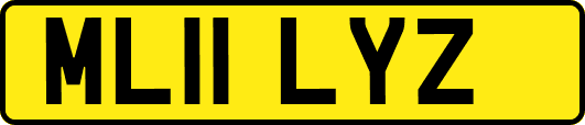 ML11LYZ