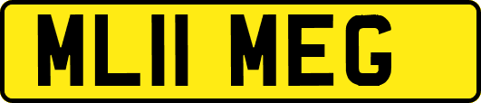 ML11MEG