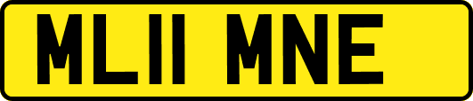 ML11MNE