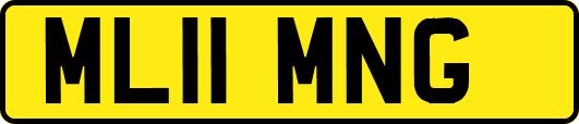 ML11MNG