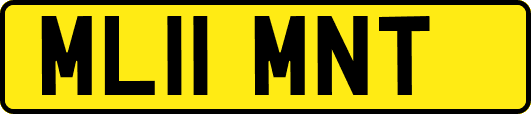 ML11MNT