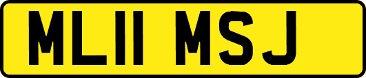 ML11MSJ