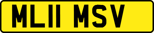 ML11MSV